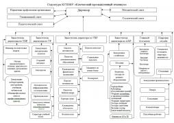 Структура КГПОБУ «Камчатский промышленный техникум»